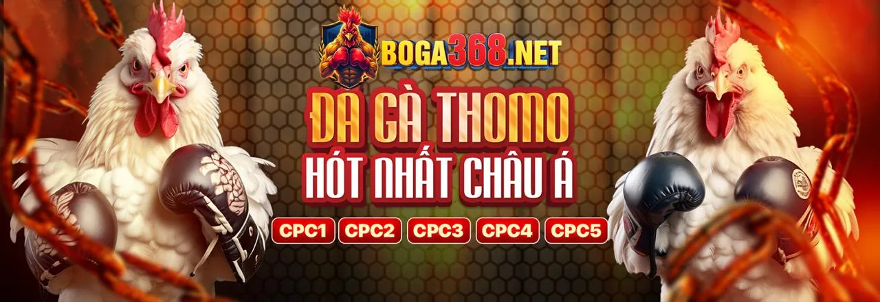 Trường gà trực tuyến god88